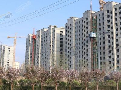 �(y��ng)���B�����،�(sh��)���D5��