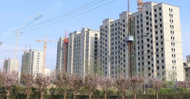 陽光酈景工地實景圖5月