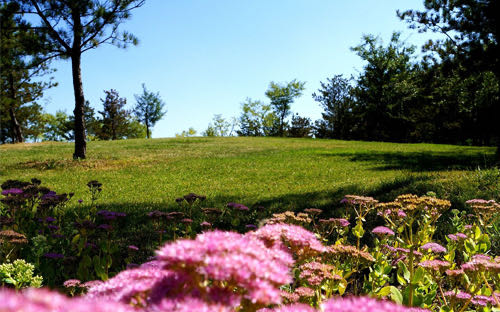 04164032993482d9036052.jpg 04164032993482d9036052.jpg