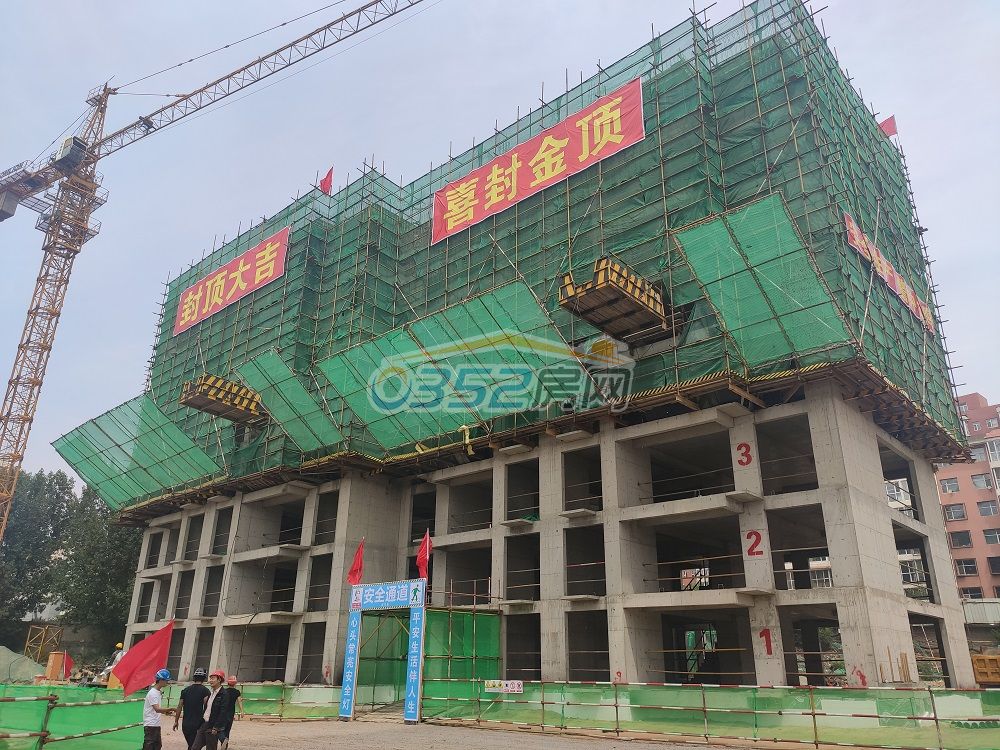 13152738288ebb8e220335.jpg 7.13.5.jpg