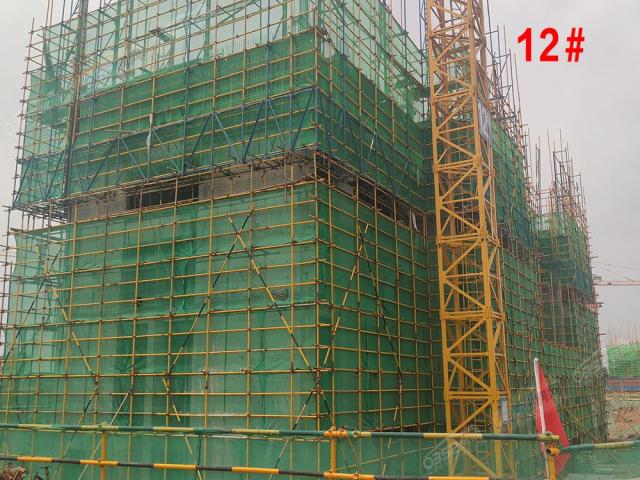 2020.7.30��12#����3��