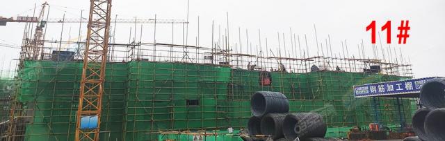 2020.7.30��11#����2��