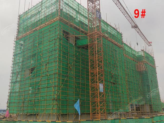 2020.7.30��9#����7��