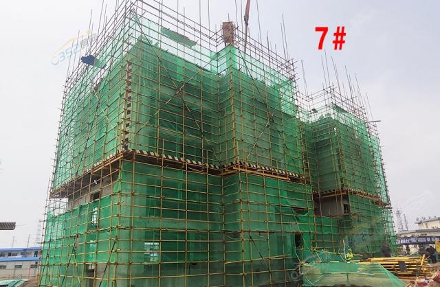 2020.7.30��7#����5��