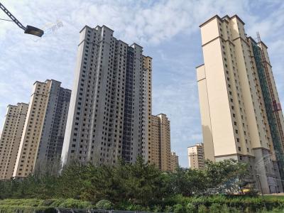 �������w8��8�չ����M��