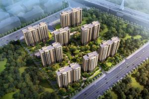 ͩ���������@