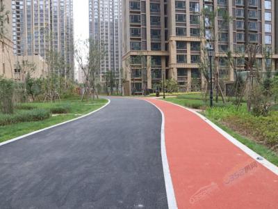 С�^(q��)��(n��i)�������D