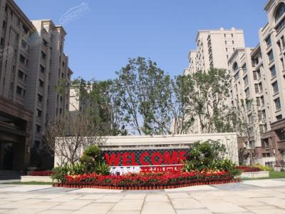 ���������D