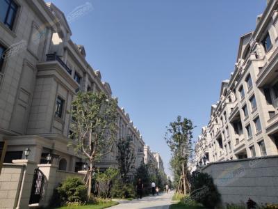 ���������D