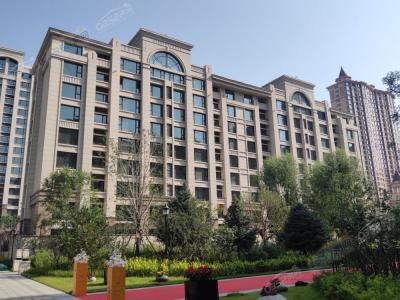 ���������D