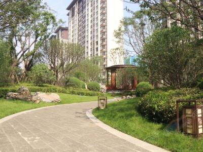 2020.8.10���������D