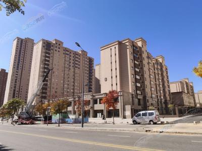 2020.10.24�����M��