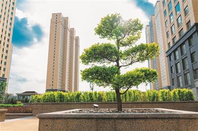 ��(sh��)���D