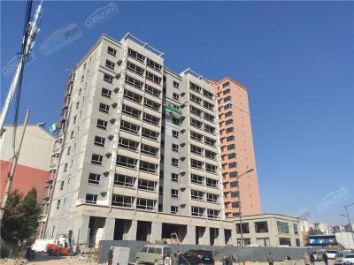 2020.10.19�����M��