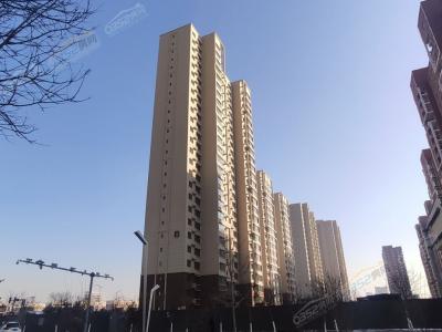 2020.11.28�����M��