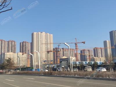 2020.11.28�����M��