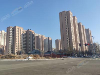 2020.11.28�����M��