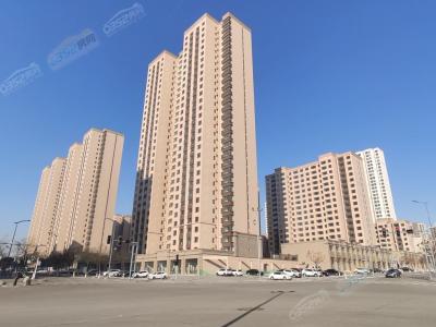 2020.11.28�����M��