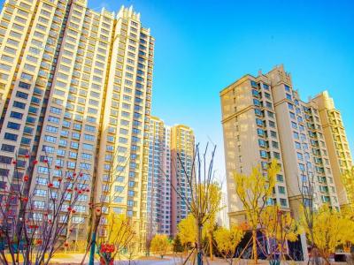 2020.12.12������(sh��)��