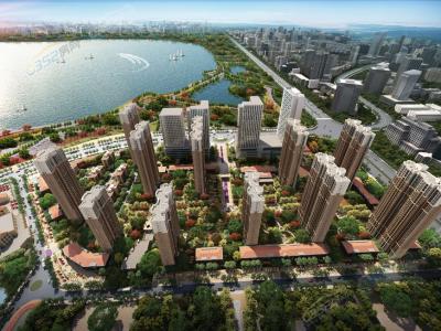 �������BD