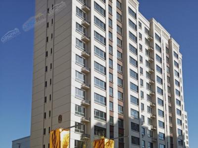 �(y��ng)���B��������(sh��)���D