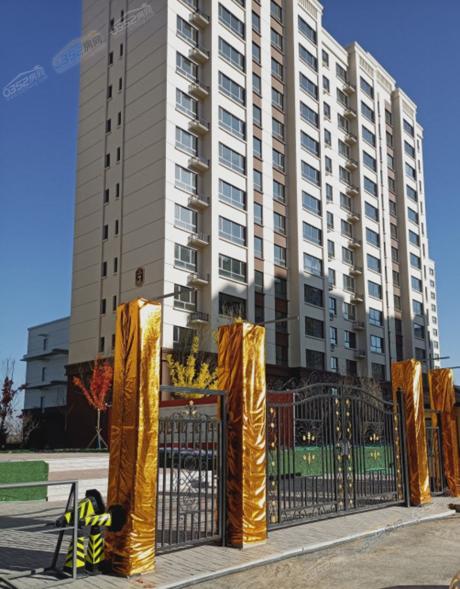 �(y��ng)���B��������(sh��)���D