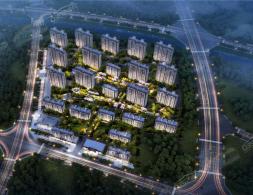 �̹��@������