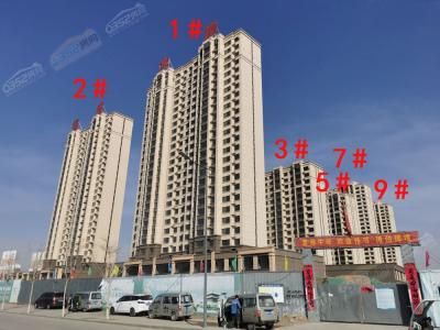 2021.3.23�����M(j��n)��