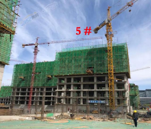 5̖(h��o)��5�¹����M(j��n)��