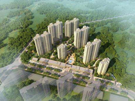 ���ݵ۾����W�����BD