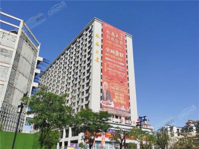 2021.5.25�ς�(c��)��(sh��)���D