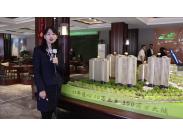 ���ݵ۾����W����ɳ�P�v��