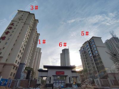 2021.6.21�����M(j��n)��