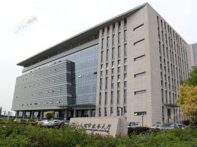 ���Ռ�������