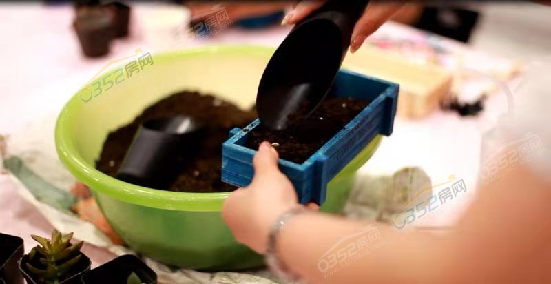 7.20.4.jpg 7.20.4.jpg