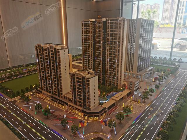 �����{��ɳ�P�����D