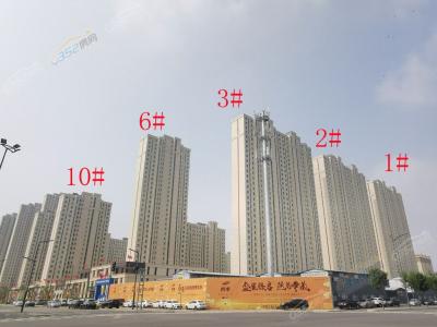 2021.8.17�����D