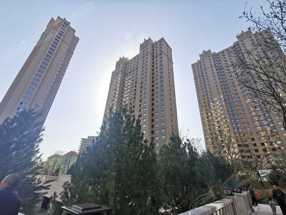 db05861d74d2271c08ad701dbbfc1b7.jpg db05861d74d2271c08ad701dbbfc1b7.jpg