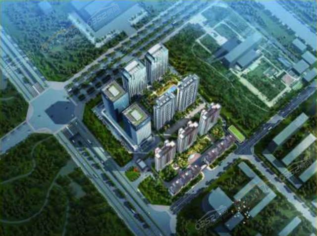 ��ƶ��BD