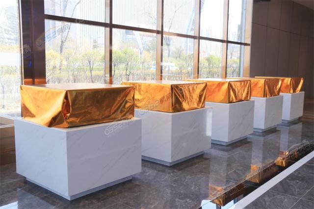 �ۘǲ������D