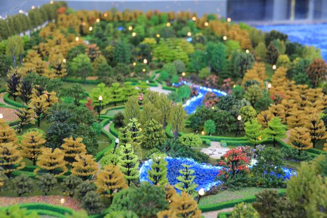 ɳ�P�����D