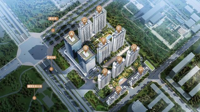 ��ƶ��BD