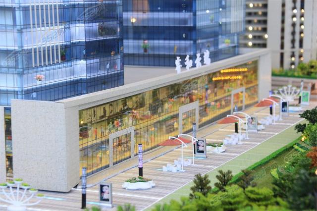 ɳ�P�����D