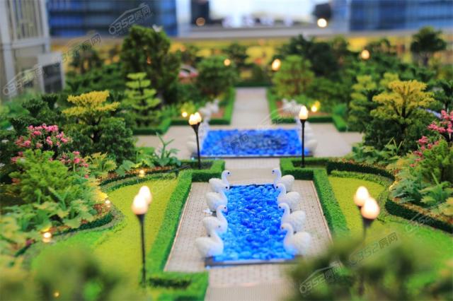 ɳ�P�����D