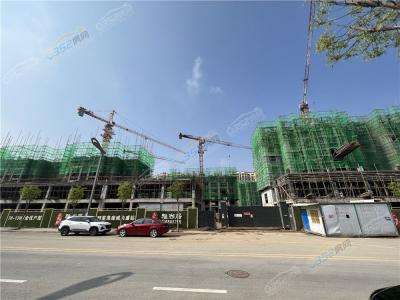 ��孖|�����о�4.28�����D