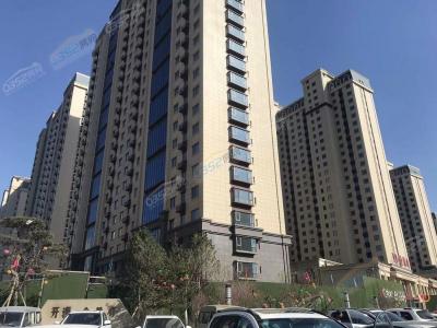 2022.4.11�����M��