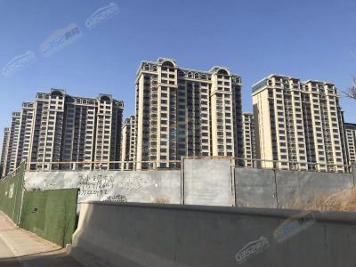 2022.4.11�����M��