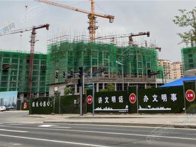 ���о�2022.5.17�����D