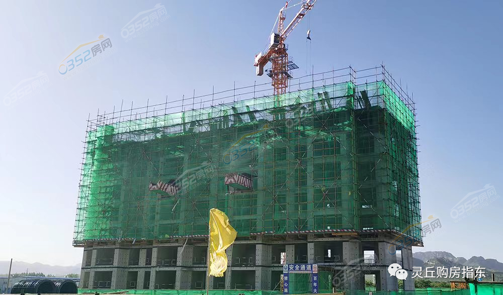 20#6.5.png 20#6.5.png