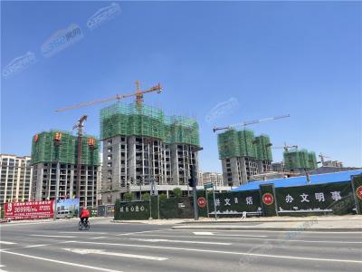 ��孖|�����о�2022.6.13�����D